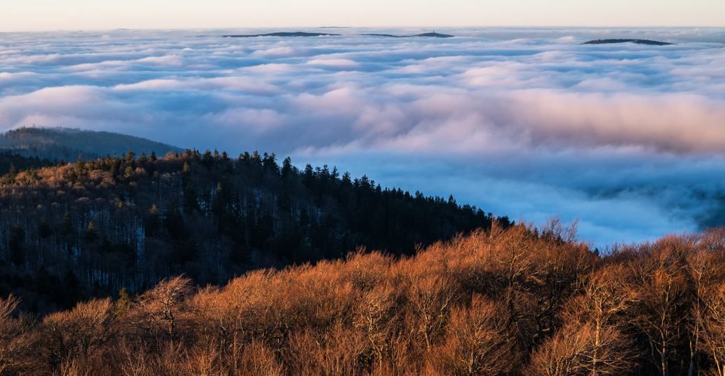 Máte krásné snímky Českého lesa? Správa CHKO vyhlašuje fotosoutěž. Snímky můžete posílat do listopadu  