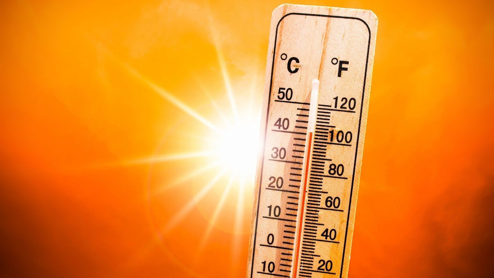 obrázek: Plzeň zažila největší vedro srpna. V Bolevci meteorologové naměřili 41,5 °C