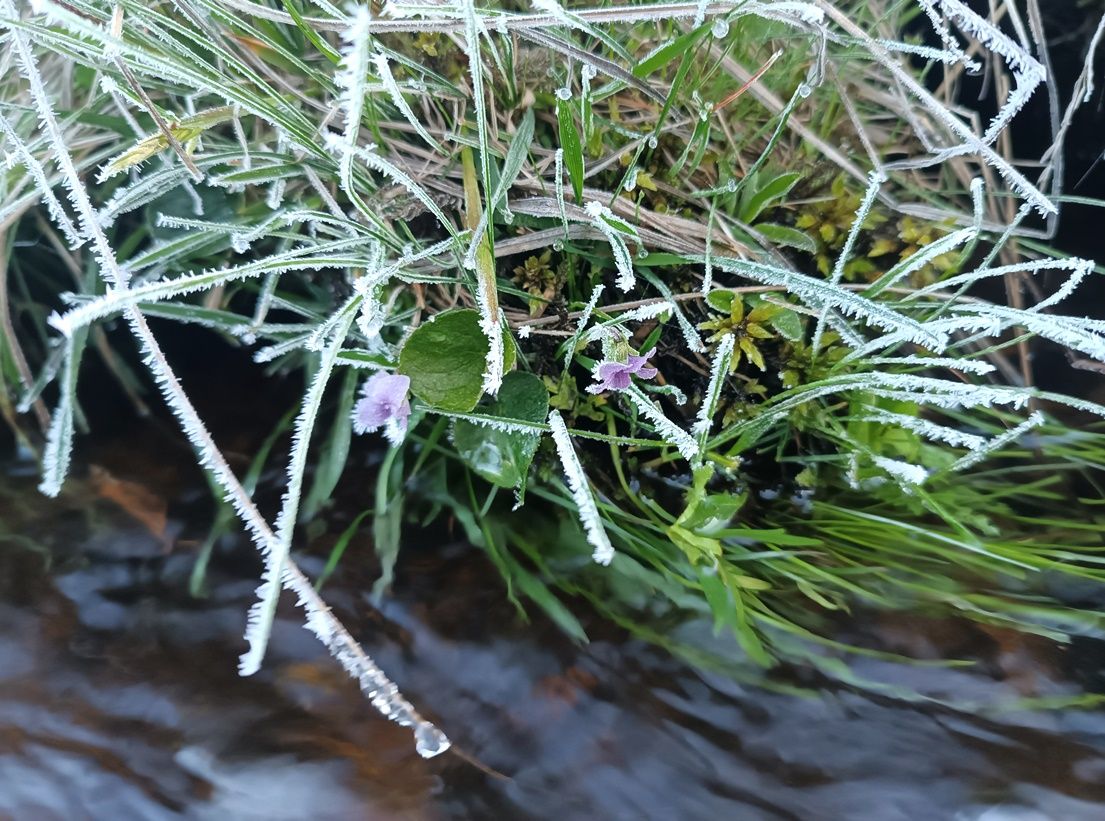 Šumavu sevřel ranní mráz. Na Kvildě klesla teplota pod minus deset stupňů