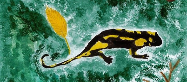 Brdy slaví 10 let a zvou děti k tvorbě. Nová soutěž hledá krajinu i zvířata očima mladých