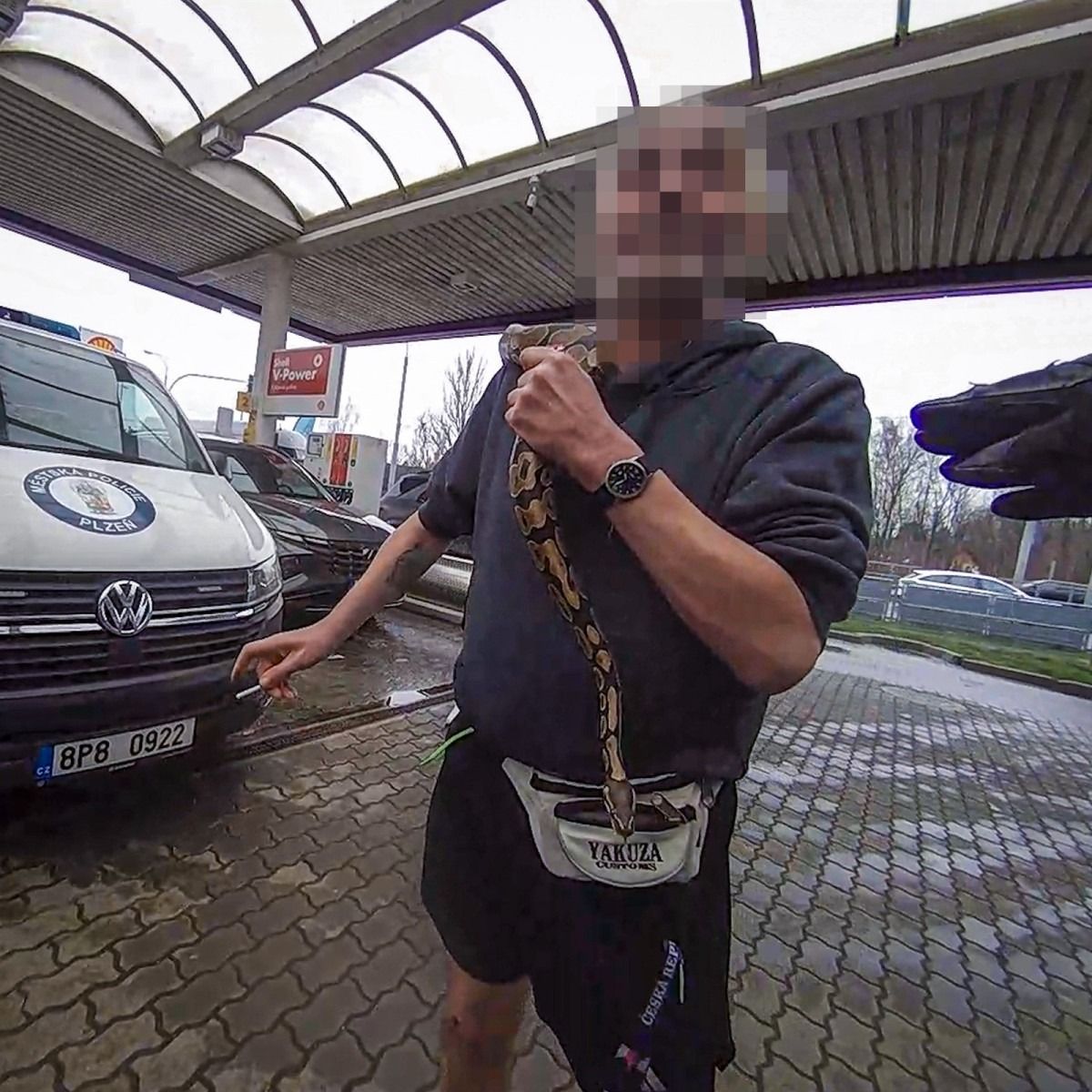 Opilec s krajtou obviněn z loupeže a výtržnictví