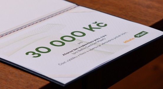Plzeň rozdělila 120 tisíc korun mezi místní neziskovky