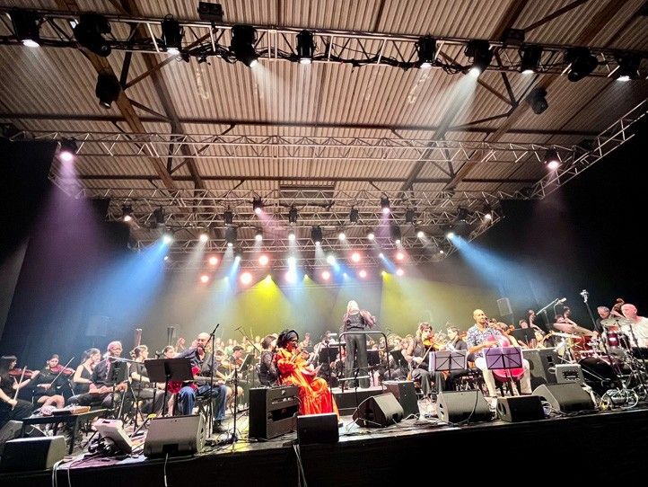 Plzeňští studenti hráli v mezinárodním orchestru v Limoges. Představili symfonický rap
