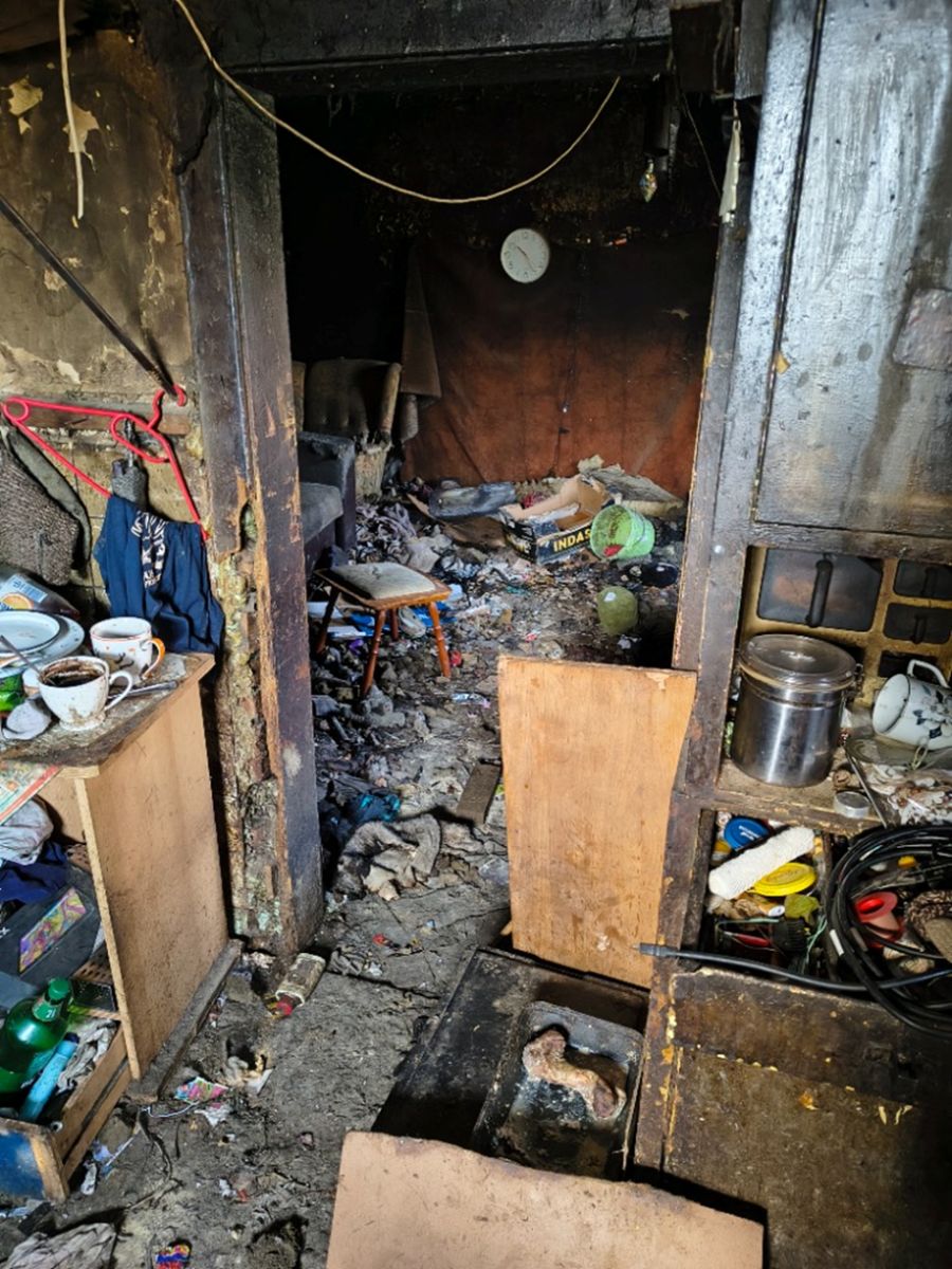 Štěňata z hororu ve Starém Sedlišti hledají nový domov