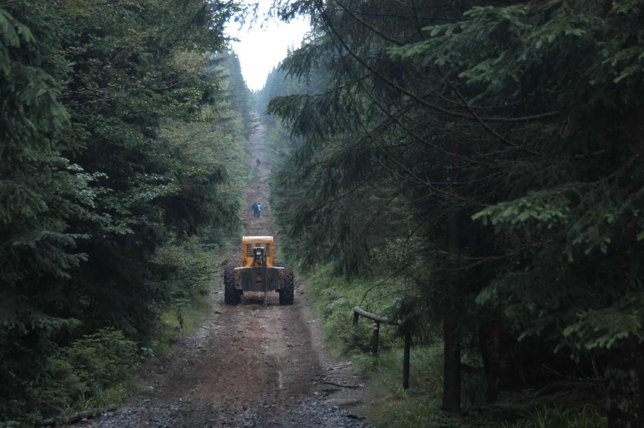Stezka u Černého jezera je kvůli kůrovci uzavřená až do konce března