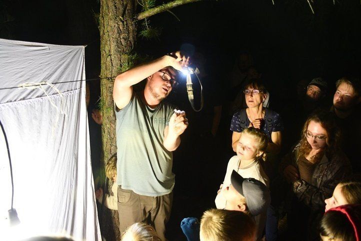 obrázek: Tajemná noc v Luftově zahradě. Plzeňané budou lákat motýly a poslouchat netopýry