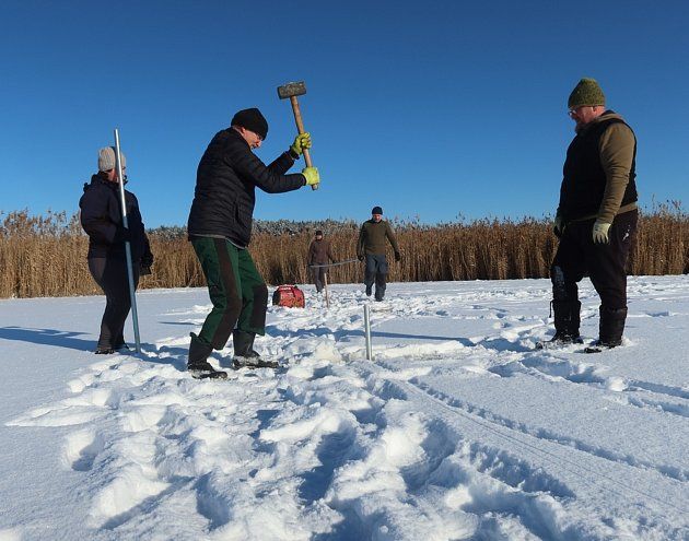 U Líní vznikl díky zamrzlému rybníku ostrůvek pro racky