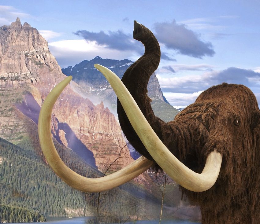 obrázek: Výstava Nelítostný pravěk