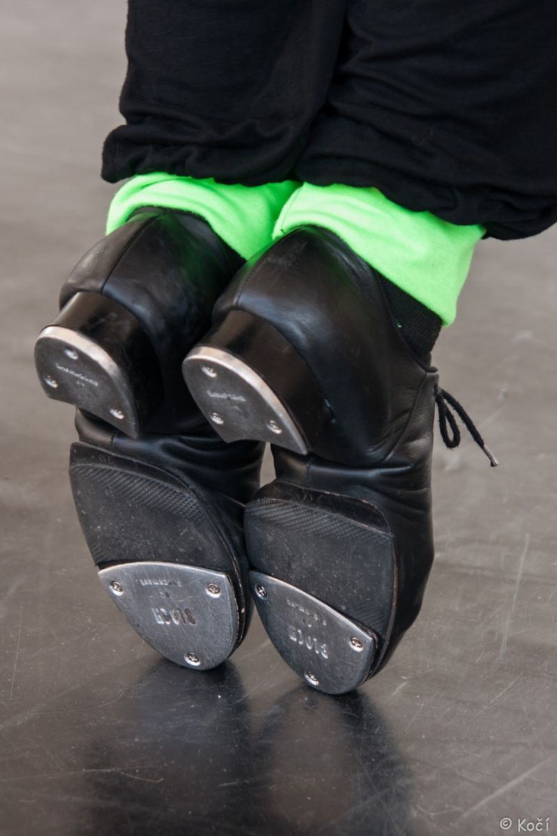 obrázek: Radní schválili milion na podporu projektů prezentujících Plzeň. Třeba pro stepaře