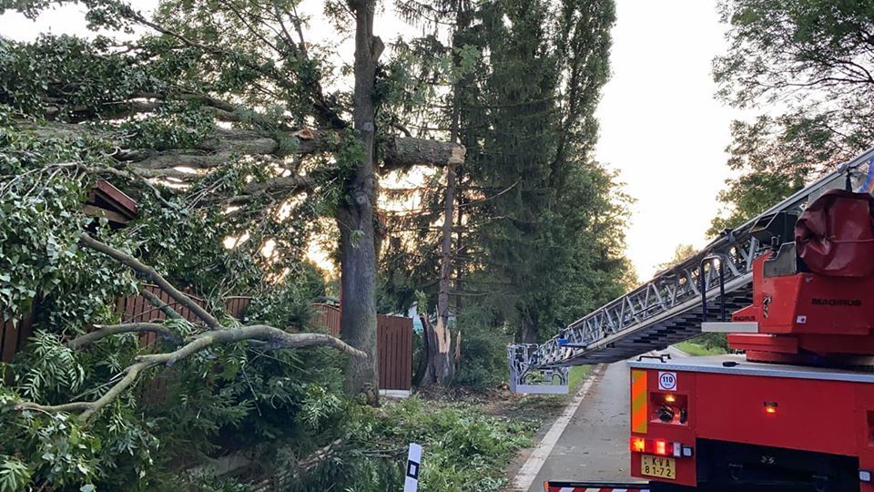 Řidičce spadl na Šumavě za jízdy na auto strom