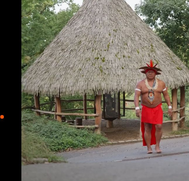 Indiánský náčelník tesá v plzeňské zoo obří kánoe. Návštěvníci sledují jejich vznik naživo