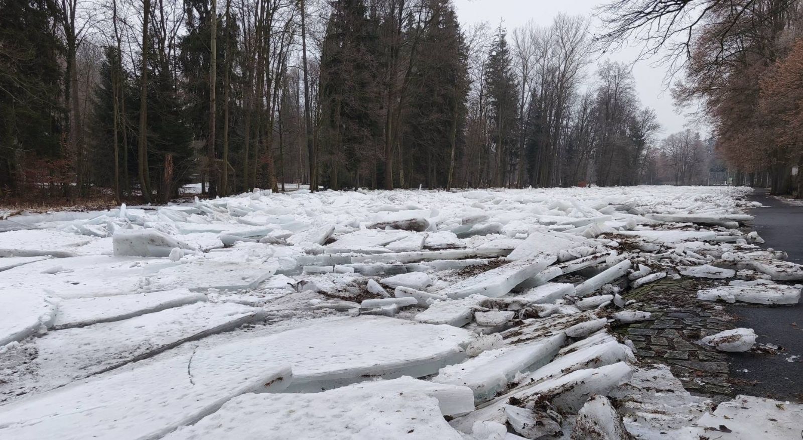 Ledové kry ohrožují Sušici, radnice vyzývá k opatrnosti
