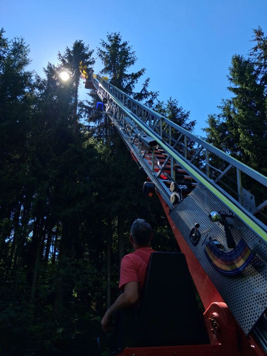Let skončil v koruně stromu. Českou paraglidistku zachraňovali němečtí hasiči
