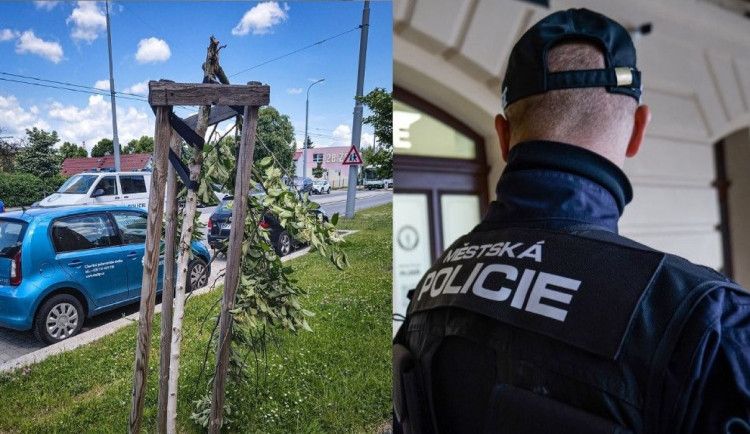 Muž v Doubravce ráno ničil stromy, skončil na záchytce
