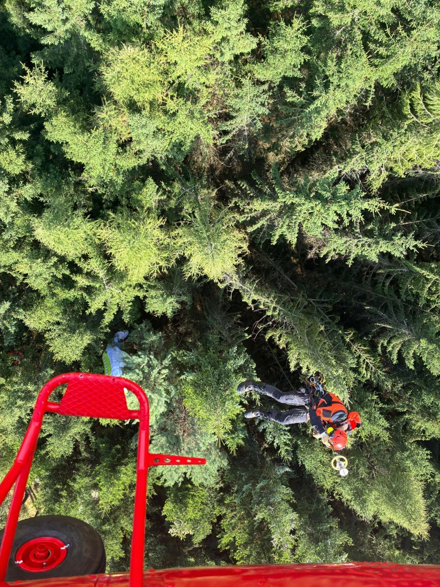 Paraglidista zachráněn ze stromu u Sušice