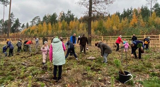 Plzeň zve na Den pro les. U Boleváku budou dobrovolníci sázet tisíce stromků