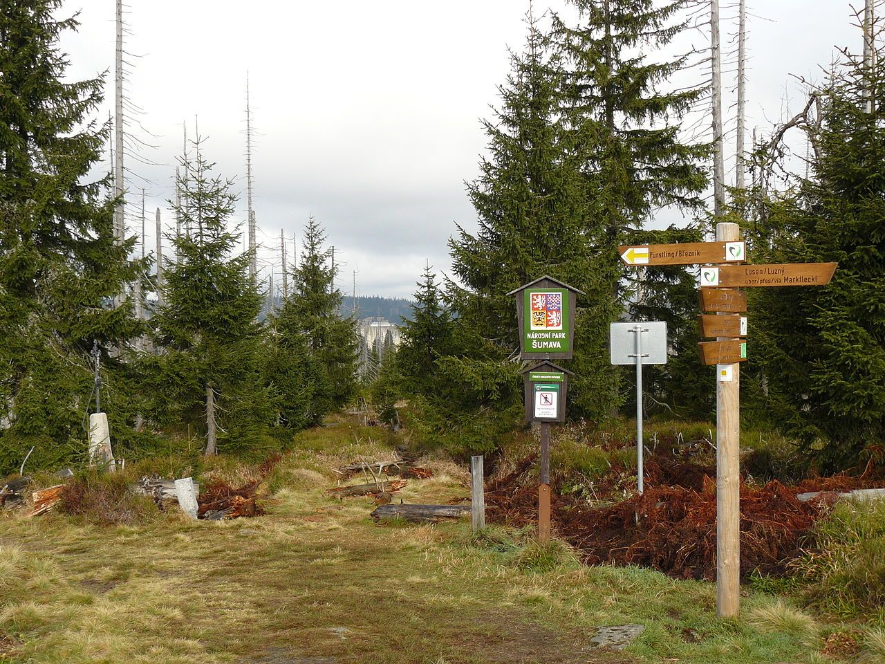 obrázek: Šumava otevře turistickou stezku na Modrý sloup