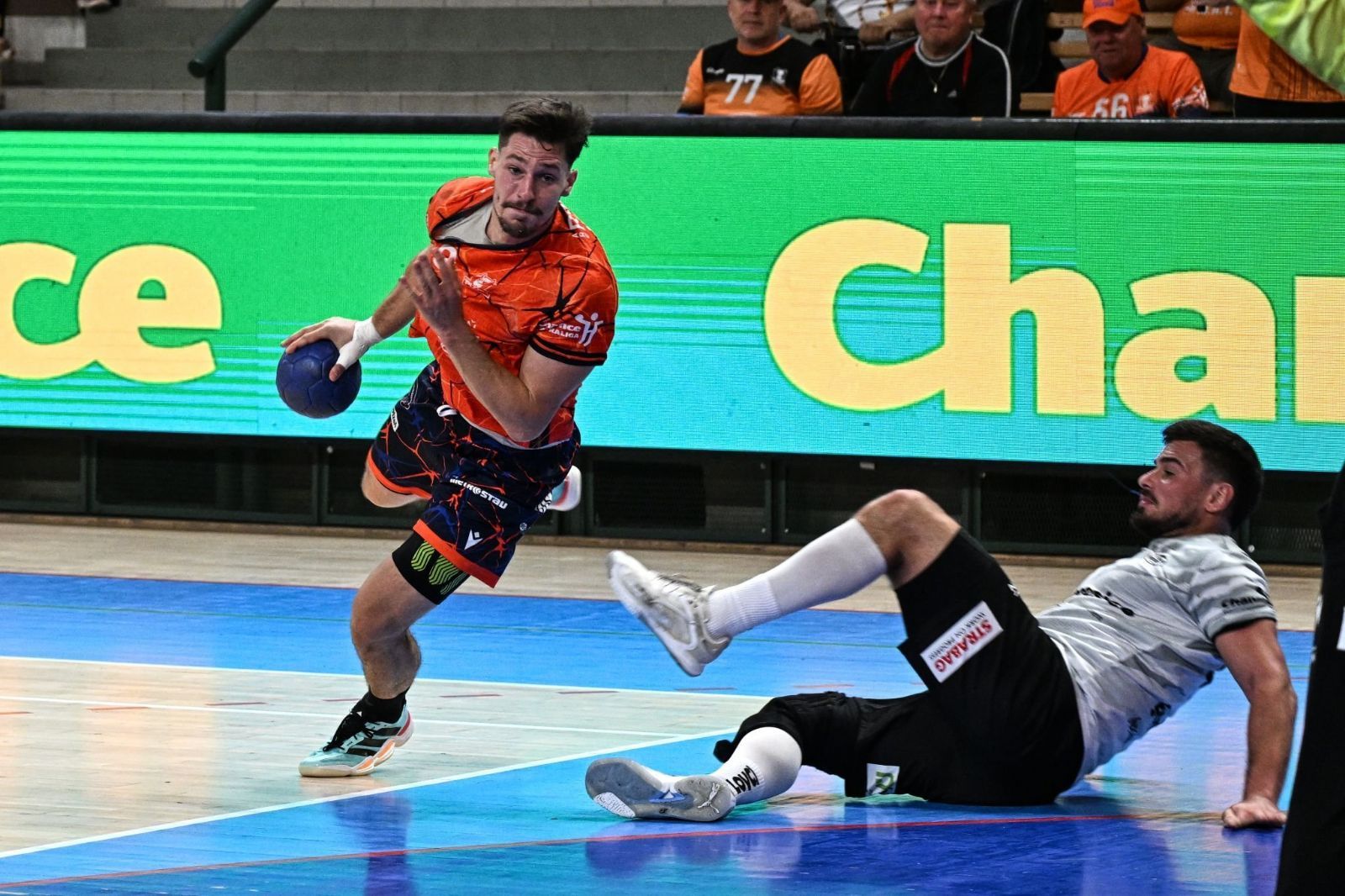 Talent Plzeň doma remizoval s Lovosicemi 29:29 Douda zapsal vyrovnání přes celé hřiště