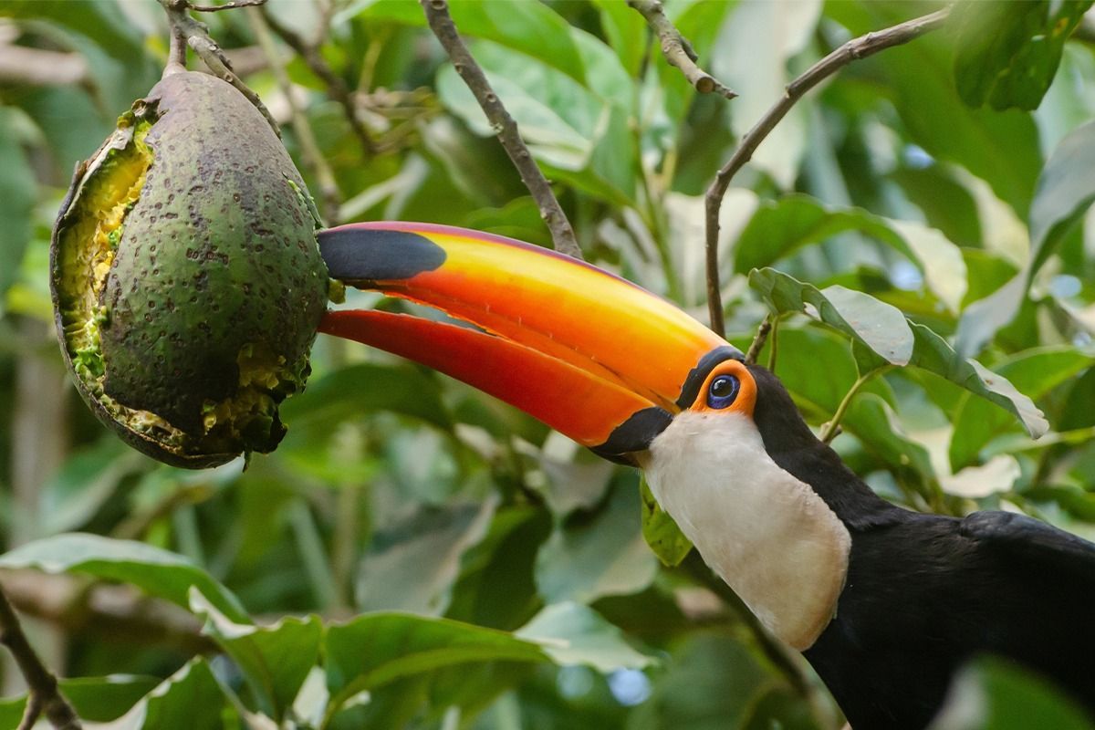 Tropické Seychely s obřími želvami v Zoo Plzeň