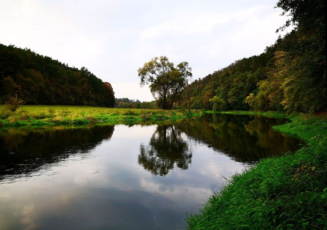 V řekách je málo vody. Plzeň připravuje záložní odběr z Radbuzy