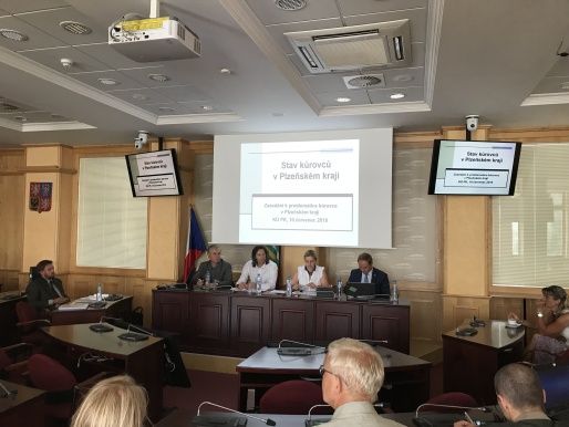 obrázek: Poškozování lesních porostů v Plzeňském kraji kůrovcem bylo předmětem zasedání na krajském úřadě