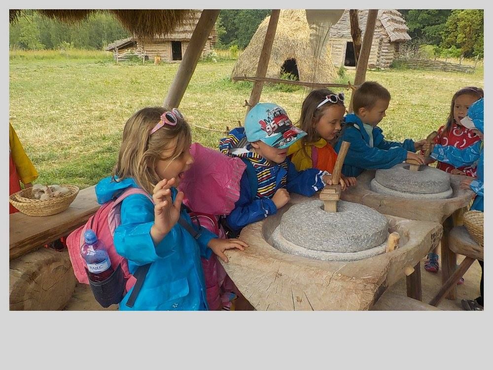 Medvíďata v Zeměráji