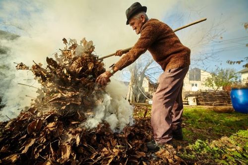 obrázek:Pálíte na zahradě listí, trávu nebo větve? Podzimní úklid může skončit pokutou až 50 tisíc korun