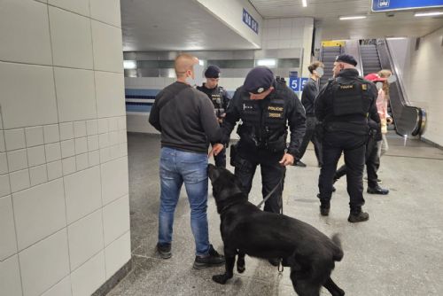 obrázek:Noční policejní akce v Plzni zkontrolovala 688 lidí a odhalila opilého řidiče i alkohol u mladistvých