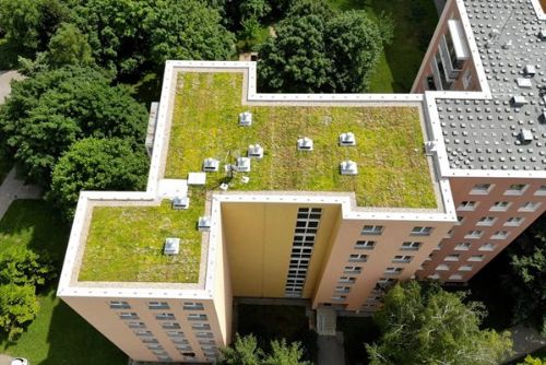 obrázek:Plzeň podpoří zelené střechy až milionem korun. Zájemcům poradí odborný seminář