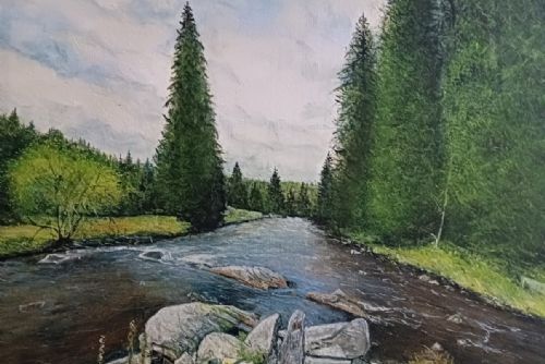 Obrázek - 