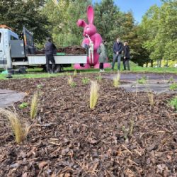 Na Jedničce přibydou tisíce květin a téměř stovka stromů