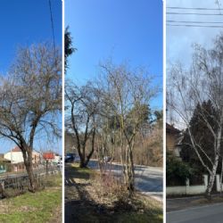 Rekonstrukce vozovky na Bílé Hoře si vyžádá kácení