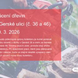 V Gerské ulici se bude kácet kvůli nutné opravě kolektoru