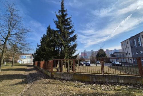 Foto: Ve vnitrobloku Žlutické ulice se bude kácet. Prostor čeká revitalizace