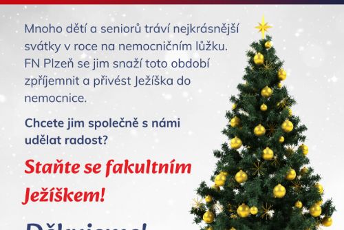 Foto: Dětské pacienty z FN Plzeň můžete potěšit drobným dárkem