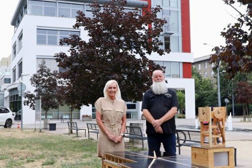 obrázek:Hmyzí domek v podobě radnice na Slovanech
