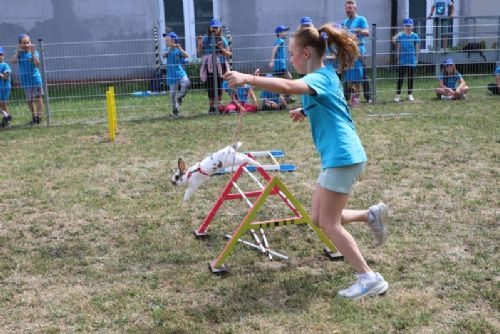 obrázek:Začínají bezplatné lekce KRÁLIČÍHO HOPU