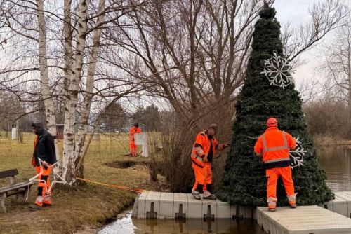 obrázek:Plovoucí stromek se po 104 dnech ukládá k jarnímu spánku