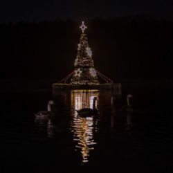 Strom na hladině Borské přehrady rozzářila tisícovka návštěvníků