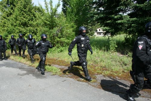 Obrázek - Městská policie Plzeň