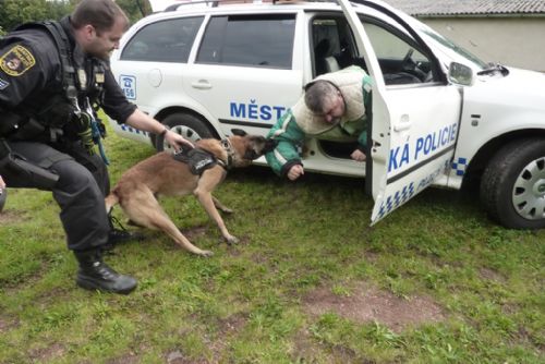 Obrázek - Městská policie Plzeň