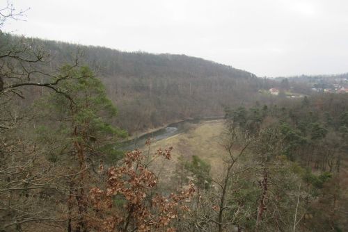 Obrázek - 