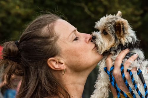 Foto: Borský park obsadily stovky psů, volil se i ten nej