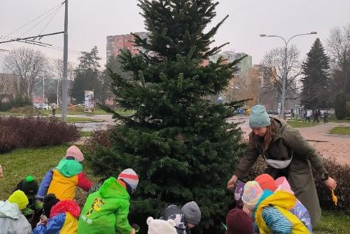 Obrázek - 