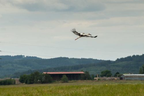 Obrázek - 