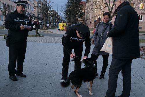 Foto: Centrální obvod daroval strážníkům nové čtečky psích mikročipů