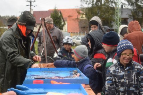 Charitativní výlov v Lužanech podpořili mladí nadšenci tradičního řemesla