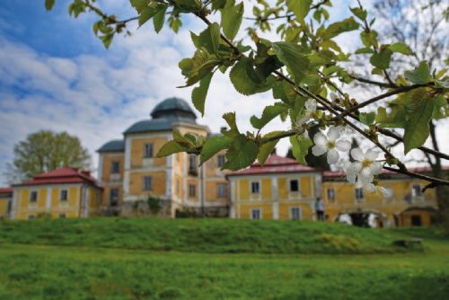 Foto: Den Českého lesa na Dianě bude oslavou starých stromů