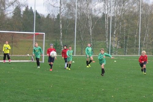Foto: Dotace pomohou opravám sportovišť i pořádání akcí v Plzni