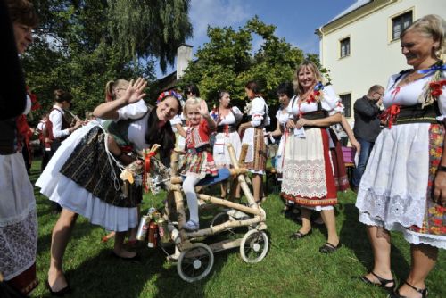 Obrázek - 